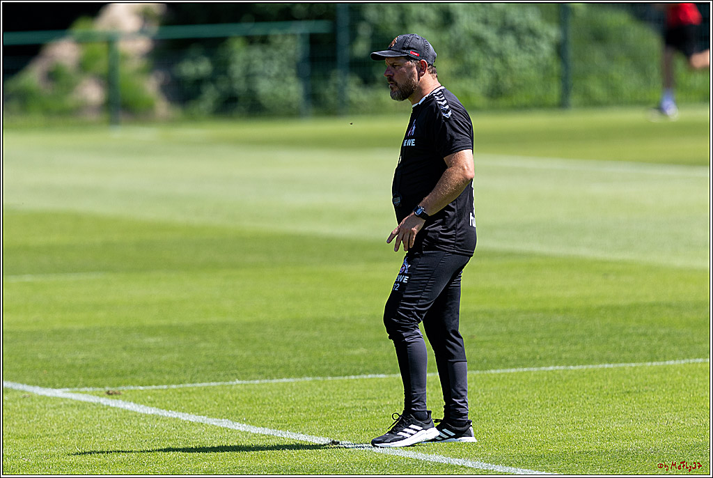 1. Fußball Bundesliga, Training 1.FC Köln, 29.06.2022