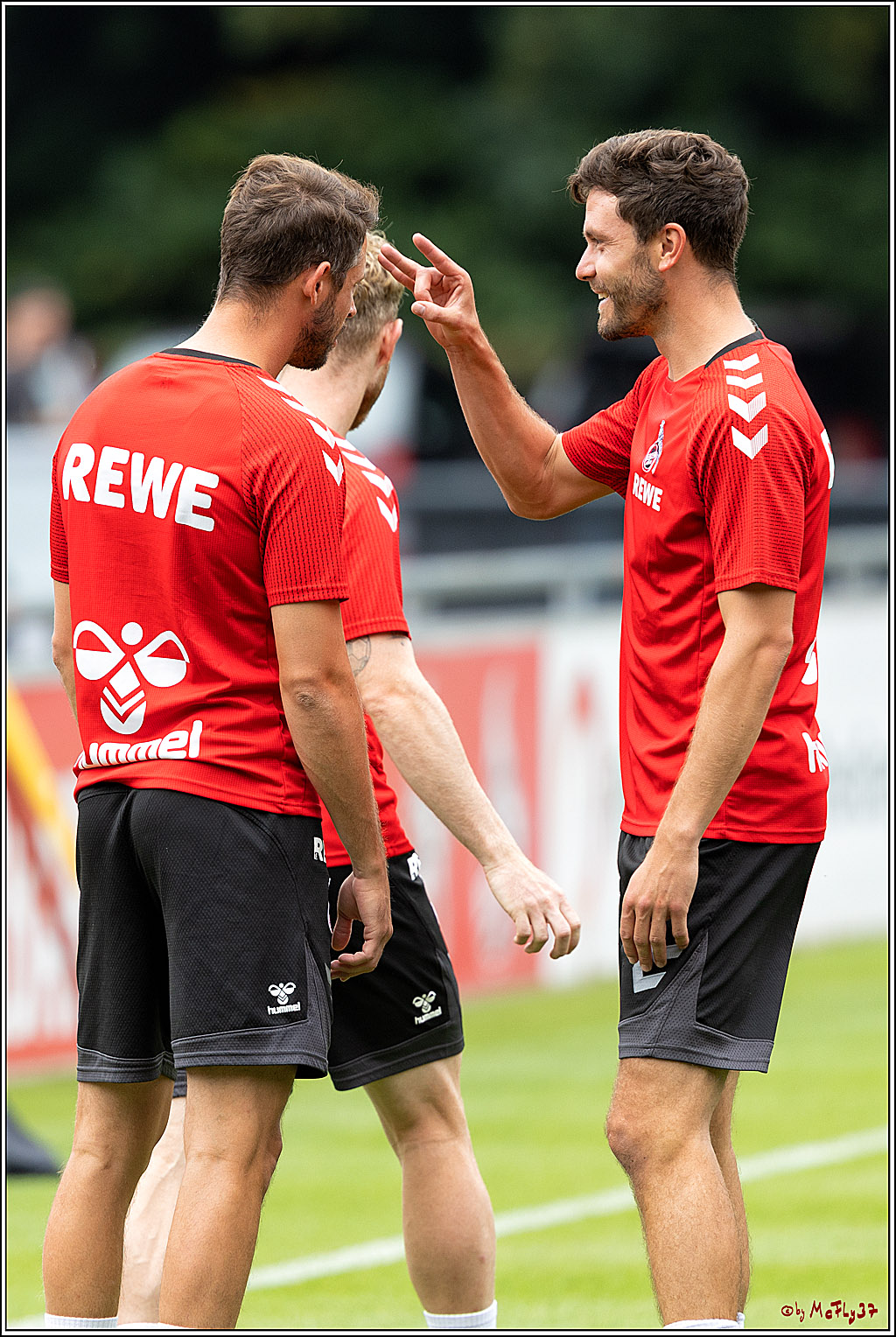 1. Fußball Bundesliga, Training 1.FC Köln, 13.07.2022