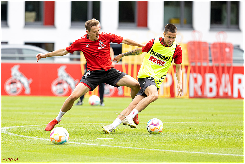 1. Fußball Bundesliga, Training 1.FC Köln, 13.07.2022