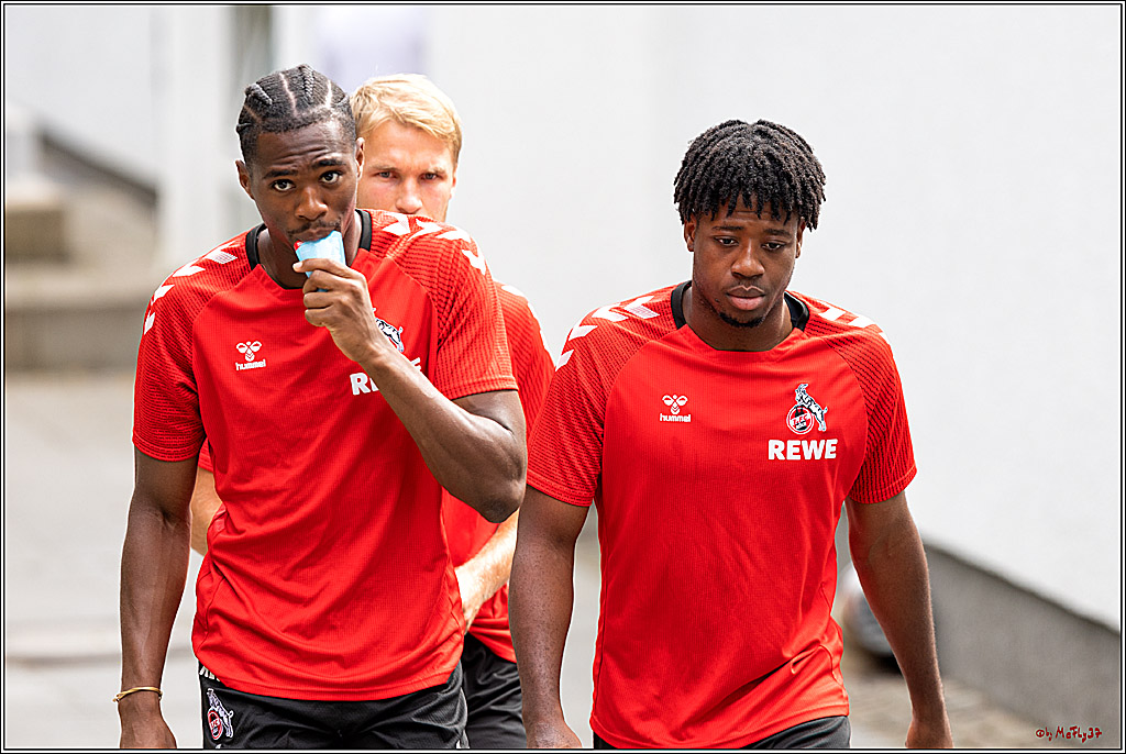 1. Fußball Bundesliga, Training 1.FC Köln, 14.07.2022