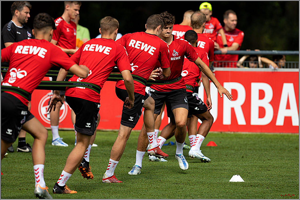 1. Fußball Bundesliga, Training 1.FC Köln, 14.07.2022