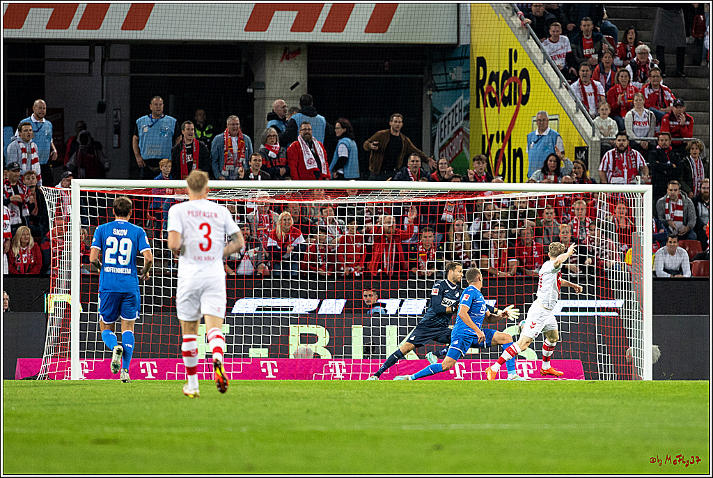 1. Fußball Bundesliga, 1.FC Köln - TSG 1899 Hoffenheim, 30.10.2022