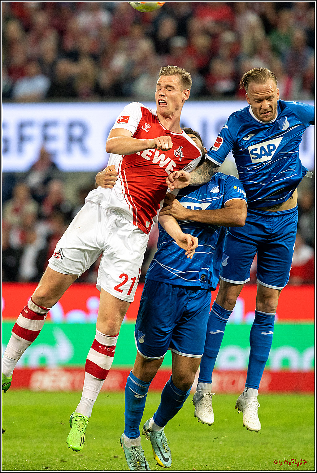 1. Fußball Bundesliga, 1.FC Köln - TSG 1899 Hoffenheim, 30.10.2022
