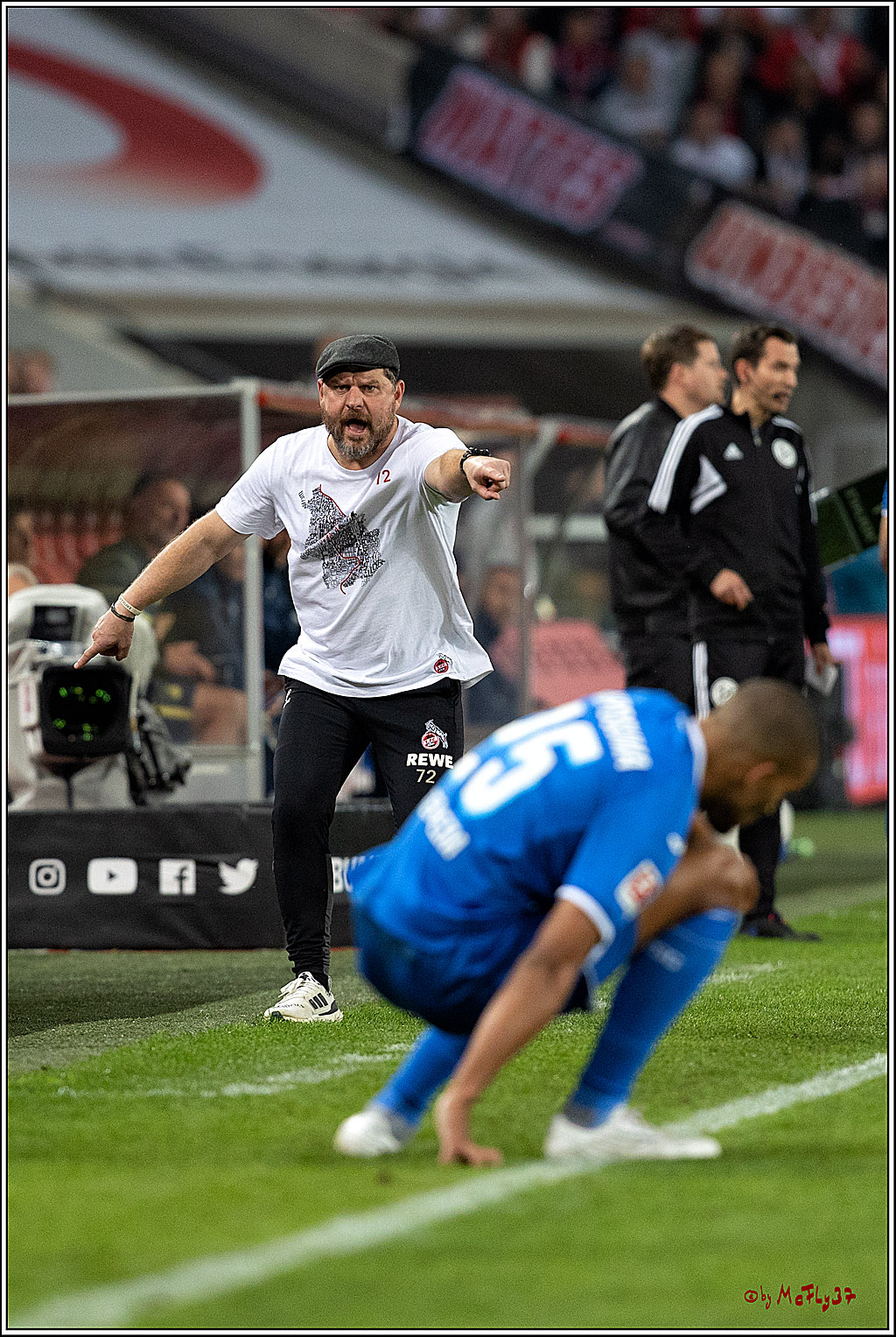 1. Fußball Bundesliga, 1.FC Köln - TSG 1899 Hoffenheim, 30.10.2022