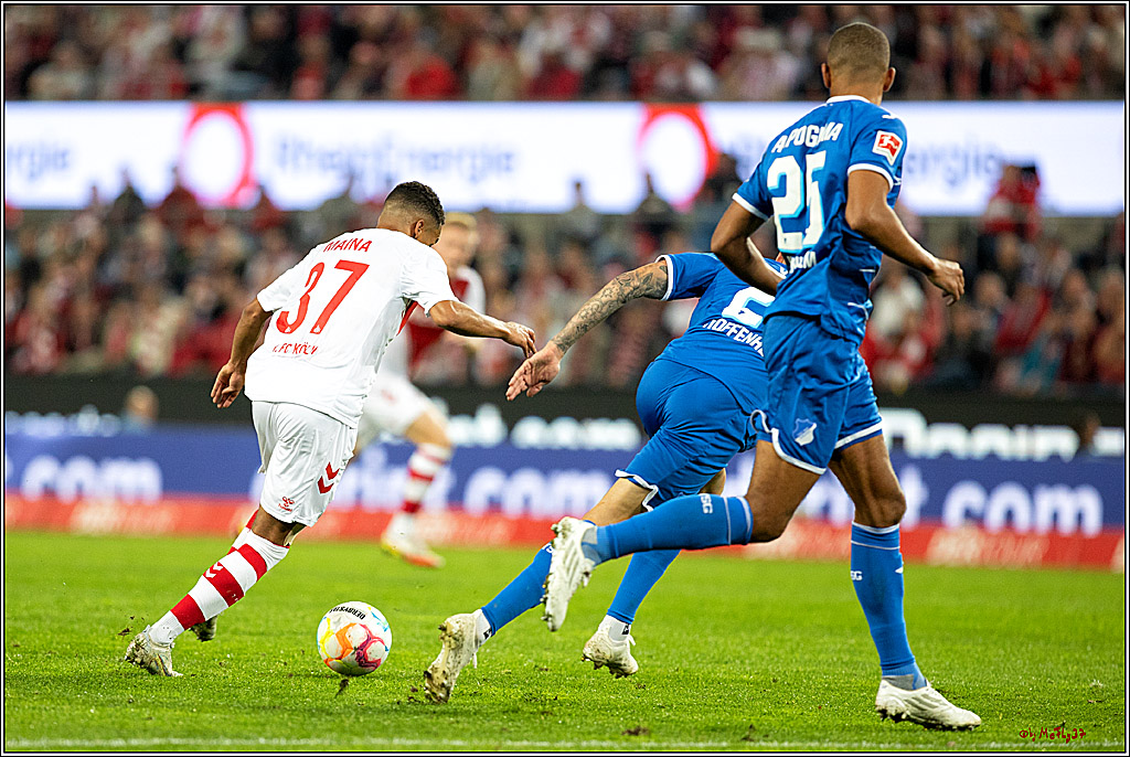 1. Fußball Bundesliga, 1.FC Köln - TSG 1899 Hoffenheim, 30.10.2022