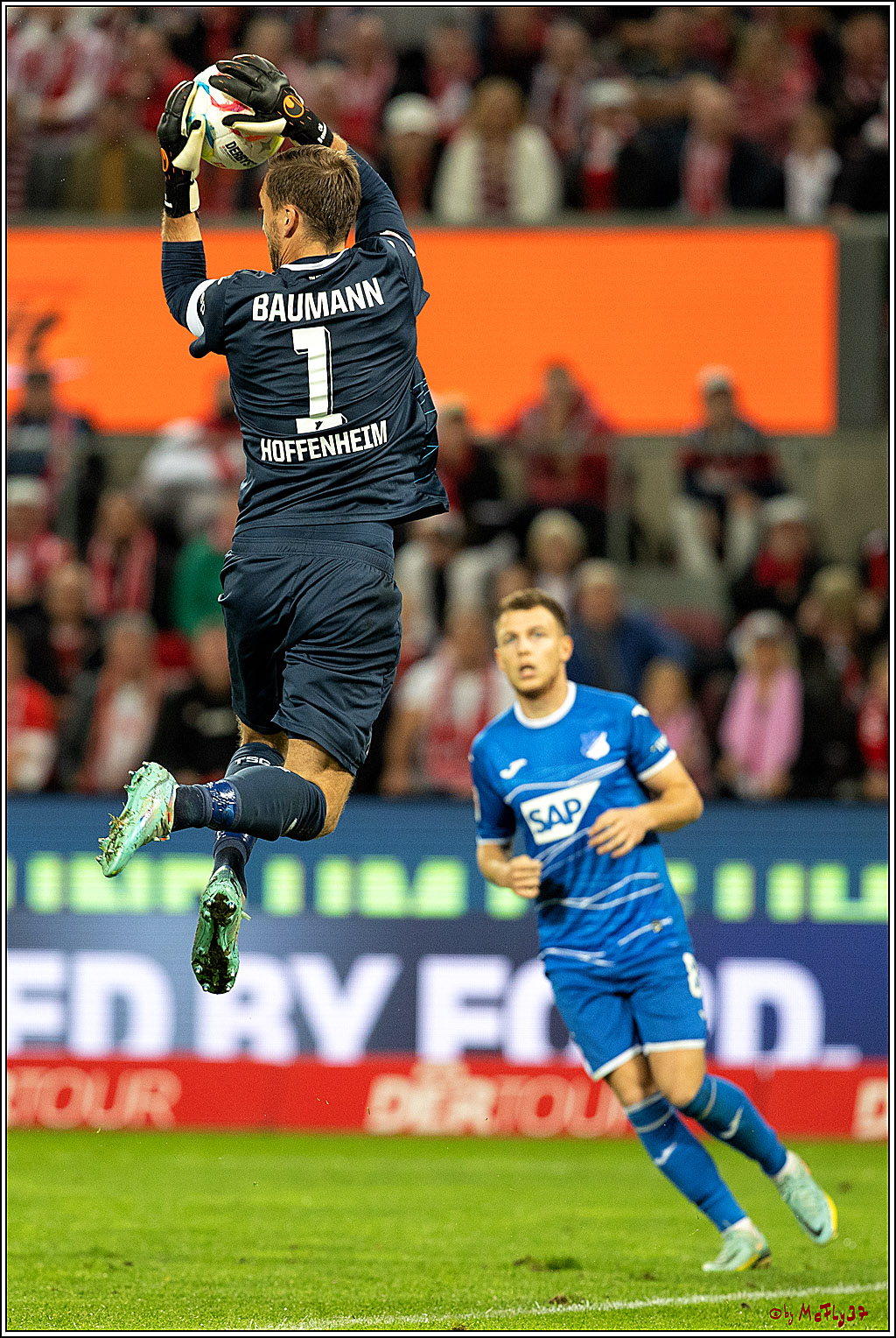 1. Fußball Bundesliga, 1.FC Köln - TSG 1899 Hoffenheim, 30.10.2022