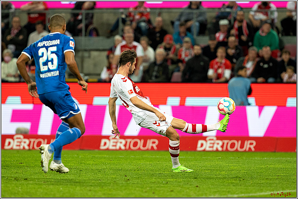 1. Fußball Bundesliga, 1.FC Köln - TSG 1899 Hoffenheim, 30.10.2022