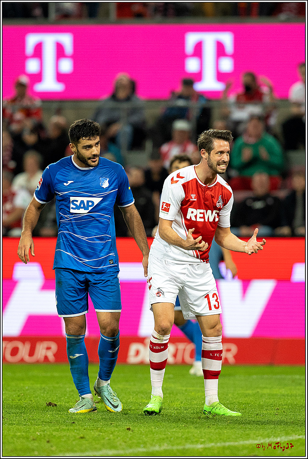 1. Fußball Bundesliga, 1.FC Köln - TSG 1899 Hoffenheim, 30.10.2022