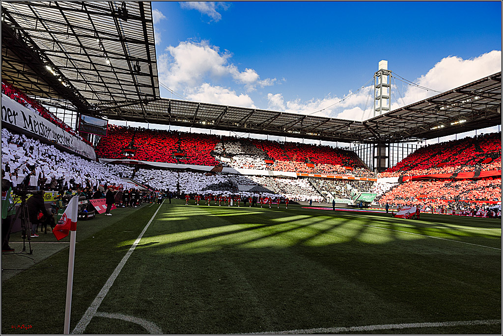 1. Fußball Bundesliga, 1.FC Köln - VfL Wolfsburg, 25.02.2023