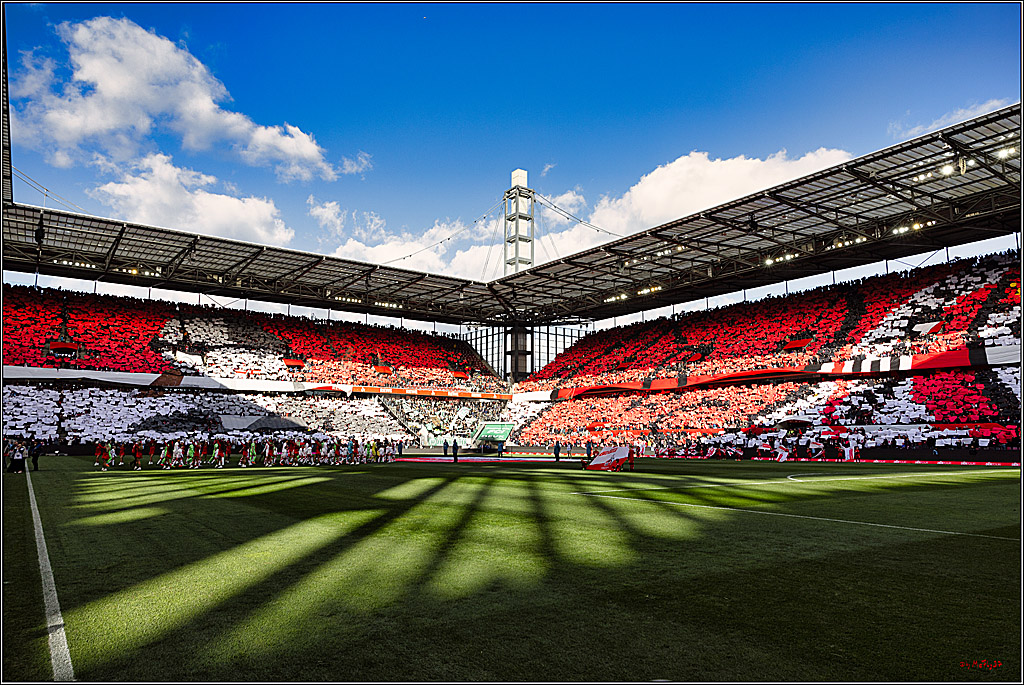 1. Fußball Bundesliga, 1.FC Köln - VfL Wolfsburg, 25.02.2023