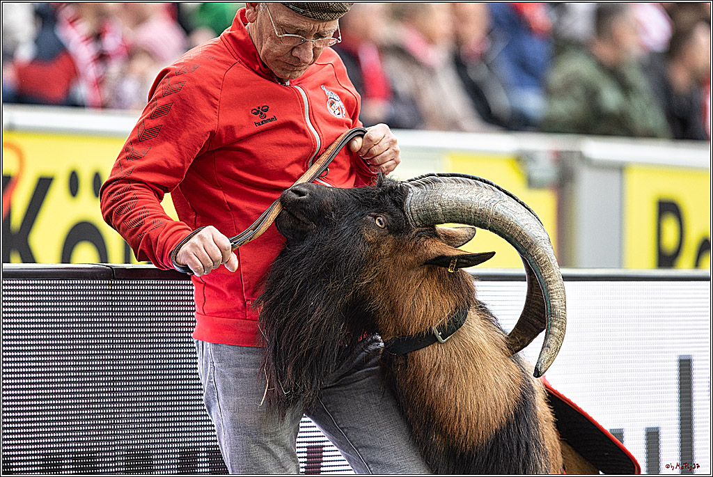 1. Fussball Bundesliga, 1.FC Koeln - 1.FSV Mainz 05 , 15.04.2023