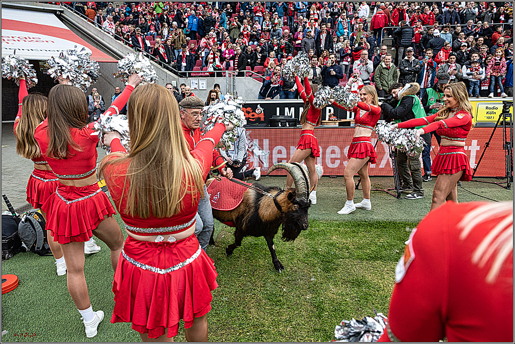 1. Fussball Bundesliga, 1.FC Koeln - 1.FSV Mainz 05 , 15.04.2023