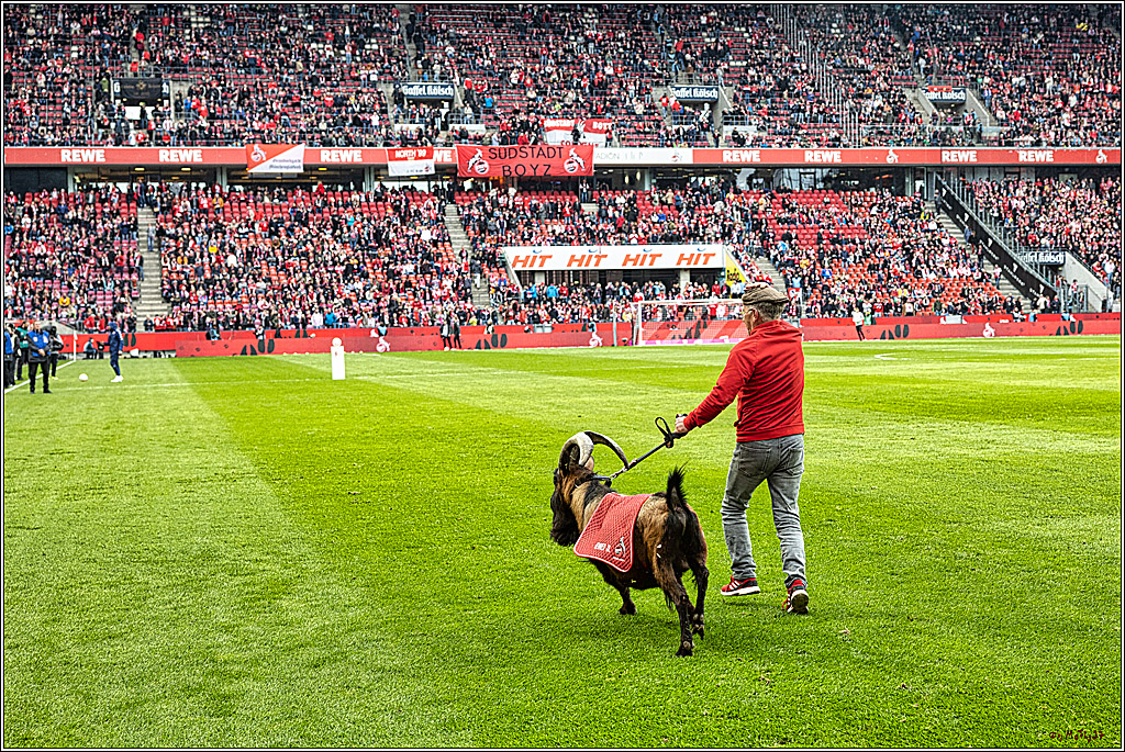 1. Fussball Bundesliga, 1.FC Koeln - 1.FSV Mainz 05 , 15.04.2023