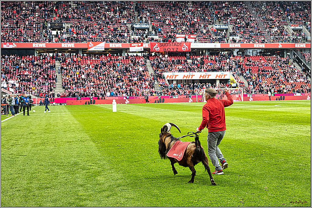 1. Fussball Bundesliga, 1.FC Koeln - 1.FSV Mainz 05 , 15.04.2023