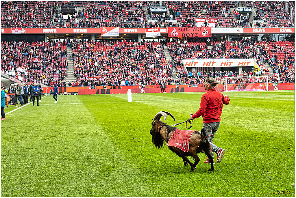 1. Fussball Bundesliga, 1.FC Koeln - 1.FSV Mainz 05 , 15.04.2023
