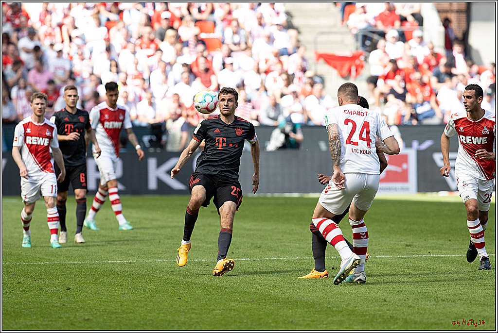 1. Fussball Bundesliga, 1.FC Koeln - FC Bayern Muenchen, 27.05.2023