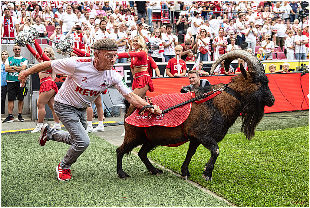002 FC Köln TSG 1899 Hoffenheim 1 3 2023