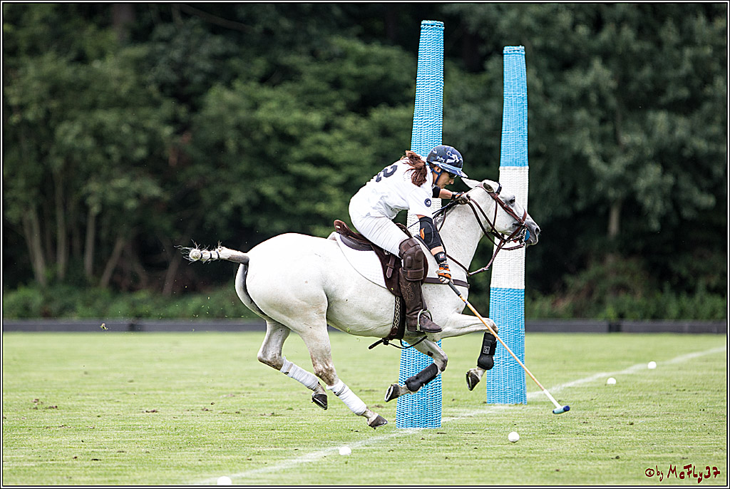 Polo Picknick Muenster 2017, 28.07.2017