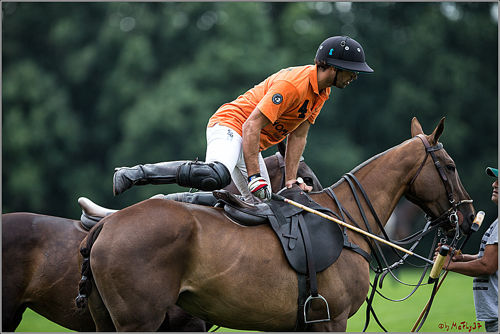 Polo Picknick Muenster 2017, 28.07.2017