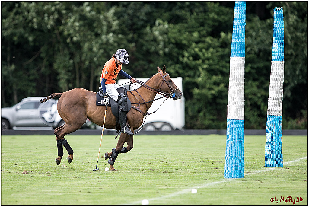 Polo Picknick Muenster 2017, 28.07.2017