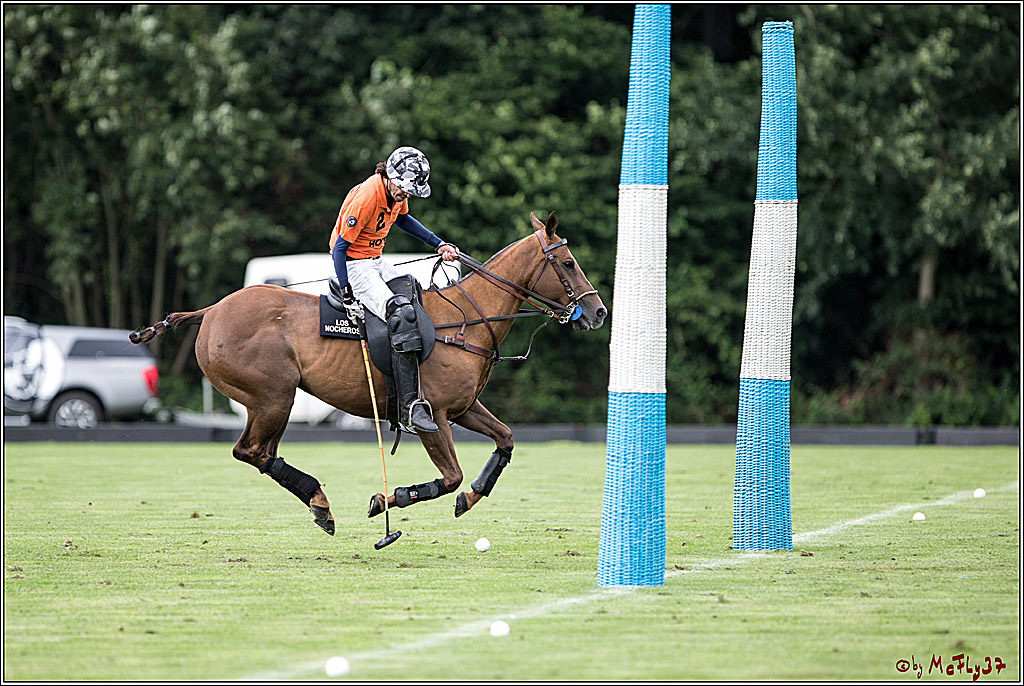 Polo Picknick Muenster 2017, 28.07.2017