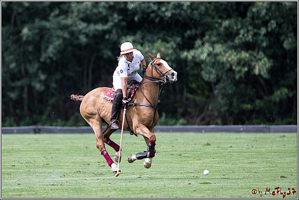 Polo Picknick Muenster 2017, 28.07.2017