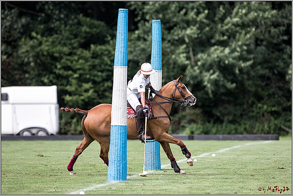 Polo Picknick Muenster 2017, 28.07.2017