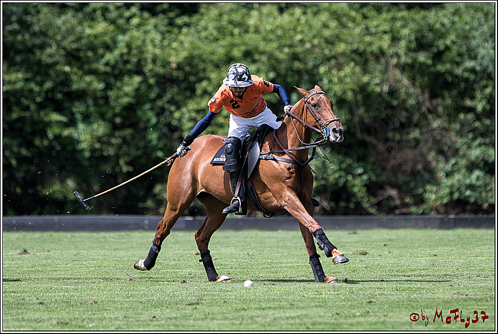 Polo Picknick Muenster 2017, 28.07.2017