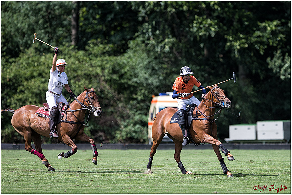 Polo Picknick Muenster 2017, 28.07.2017
