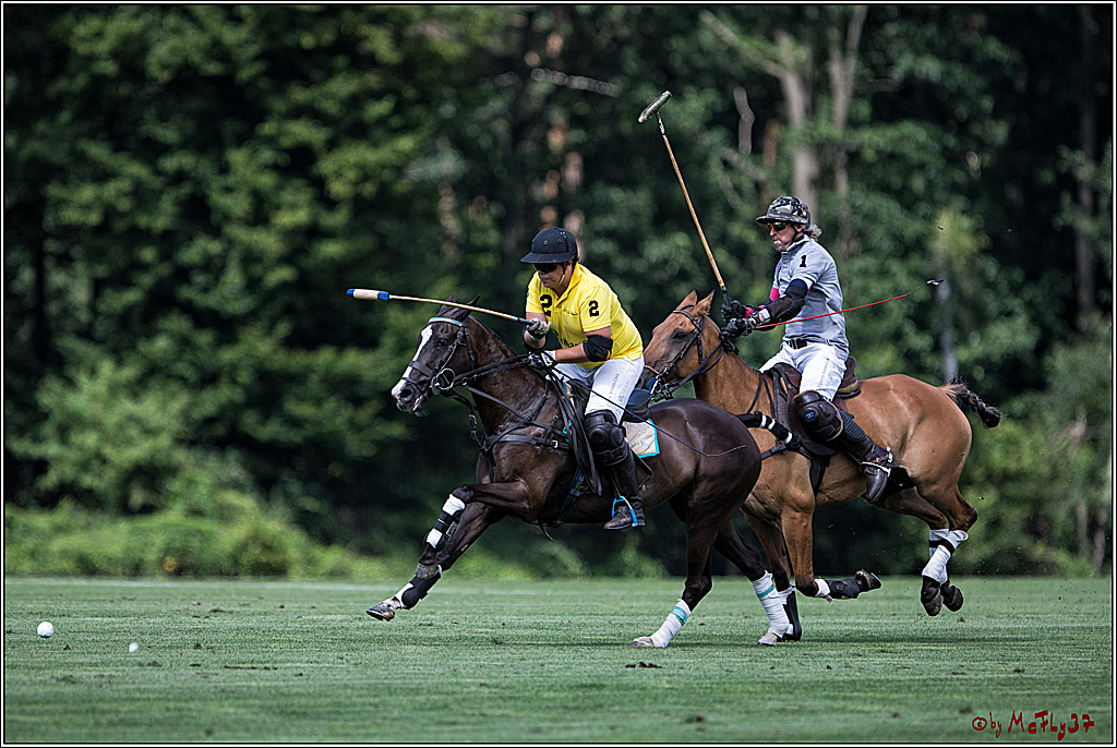 Polo Picknick Muenster 2017, 28.07.2017