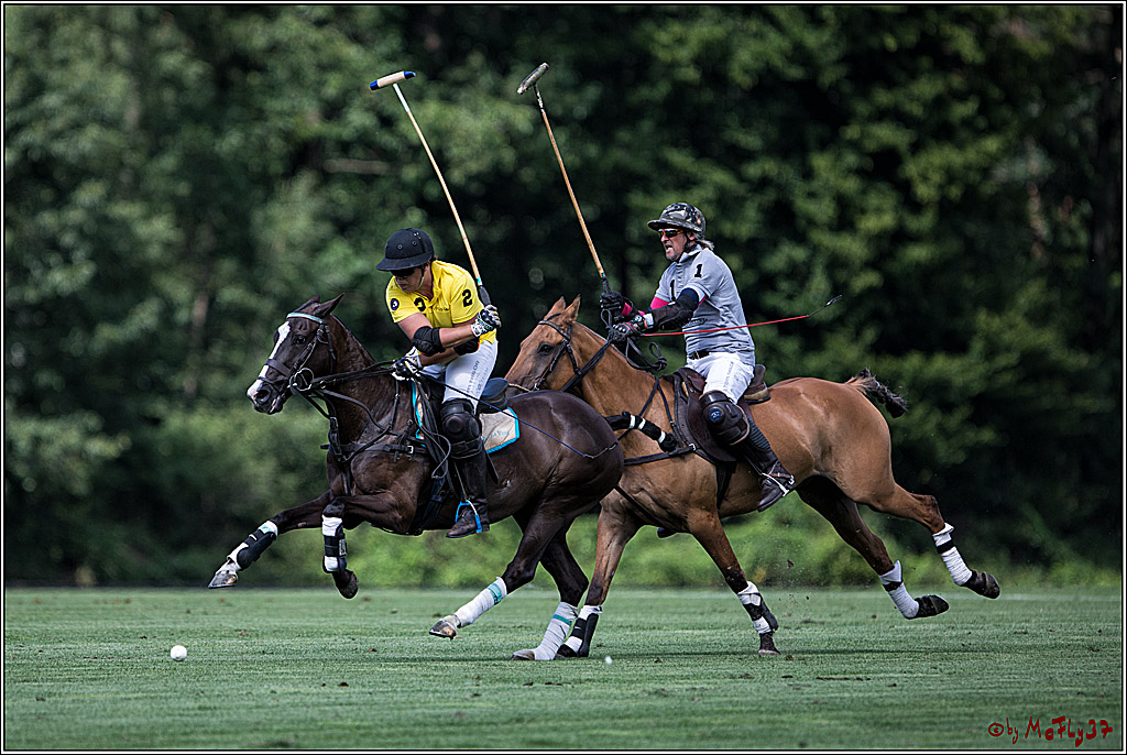 Polo Picknick Muenster 2017, 28.07.2017