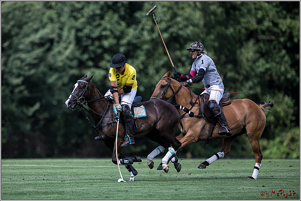 Polo Picknick Muenster 2017, 28.07.2017