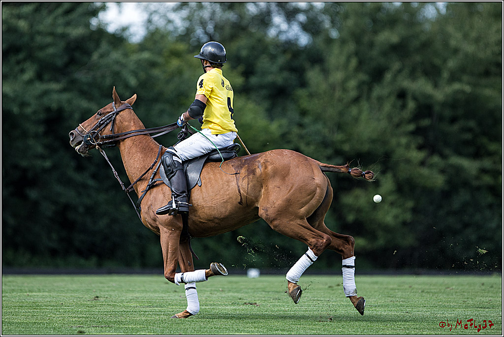 Polo Picknick Muenster 2017, 28.07.2017