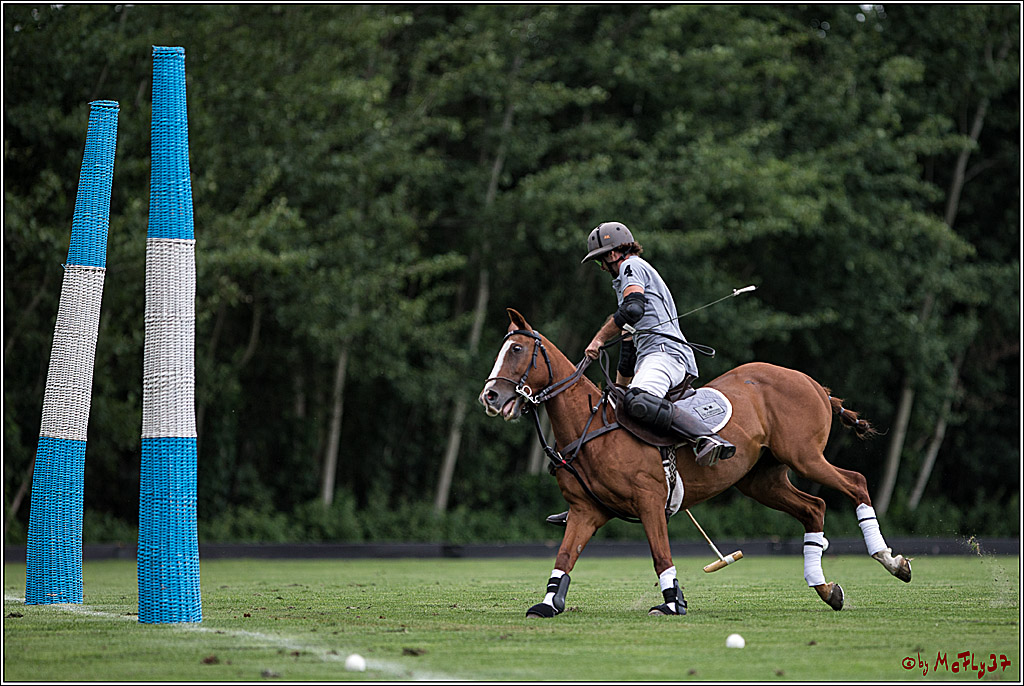 Polo Picknick Muenster 2017, 28.07.2017