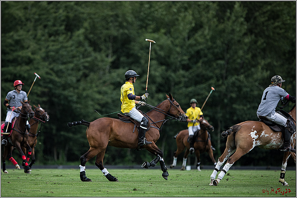 Polo Picknick Muenster 2017, 28.07.2017