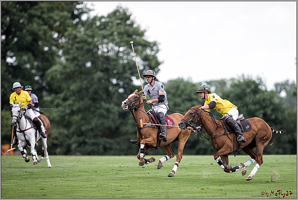 Polo Picknick Muenster 2017, 28.07.2017