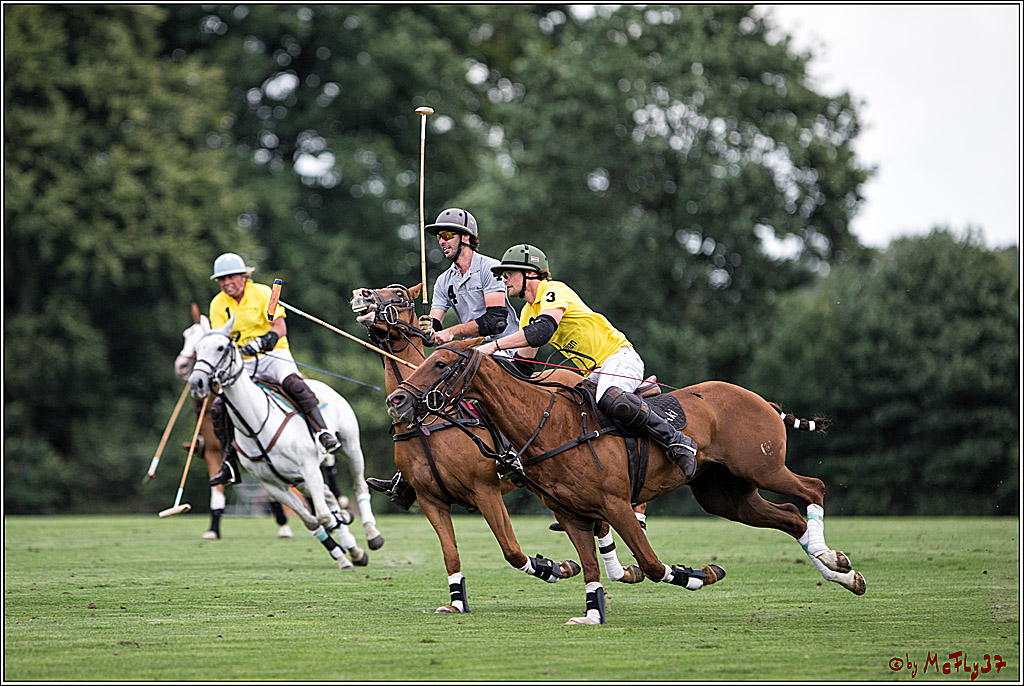 Polo Picknick Muenster 2017, 28.07.2017