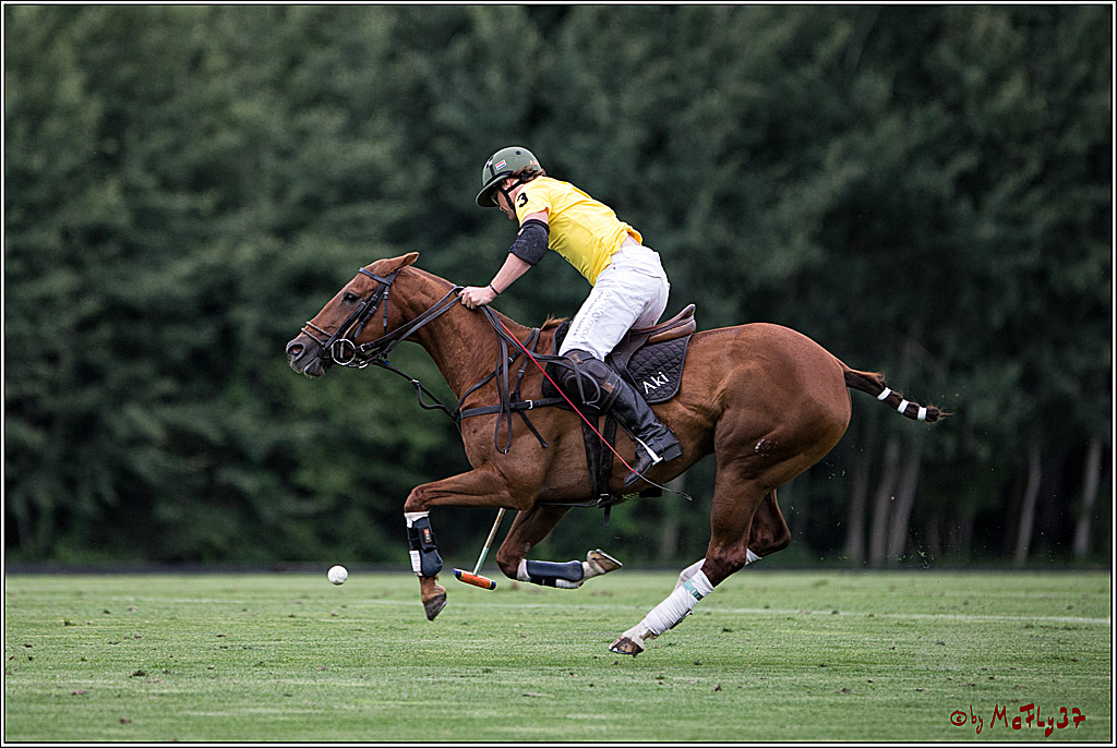 Polo Picknick Muenster 2017, 28.07.2017