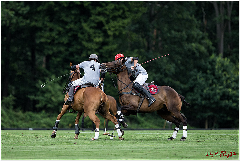 Polo Picknick Muenster 2017, 28.07.2017