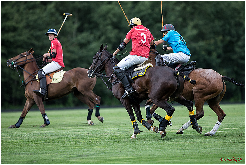Polo Picknick Muenster 2017, 28.07.2017