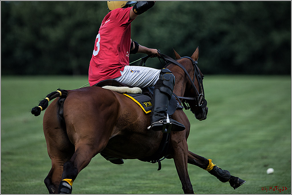 Polo Picknick Muenster 2017, 28.07.2017