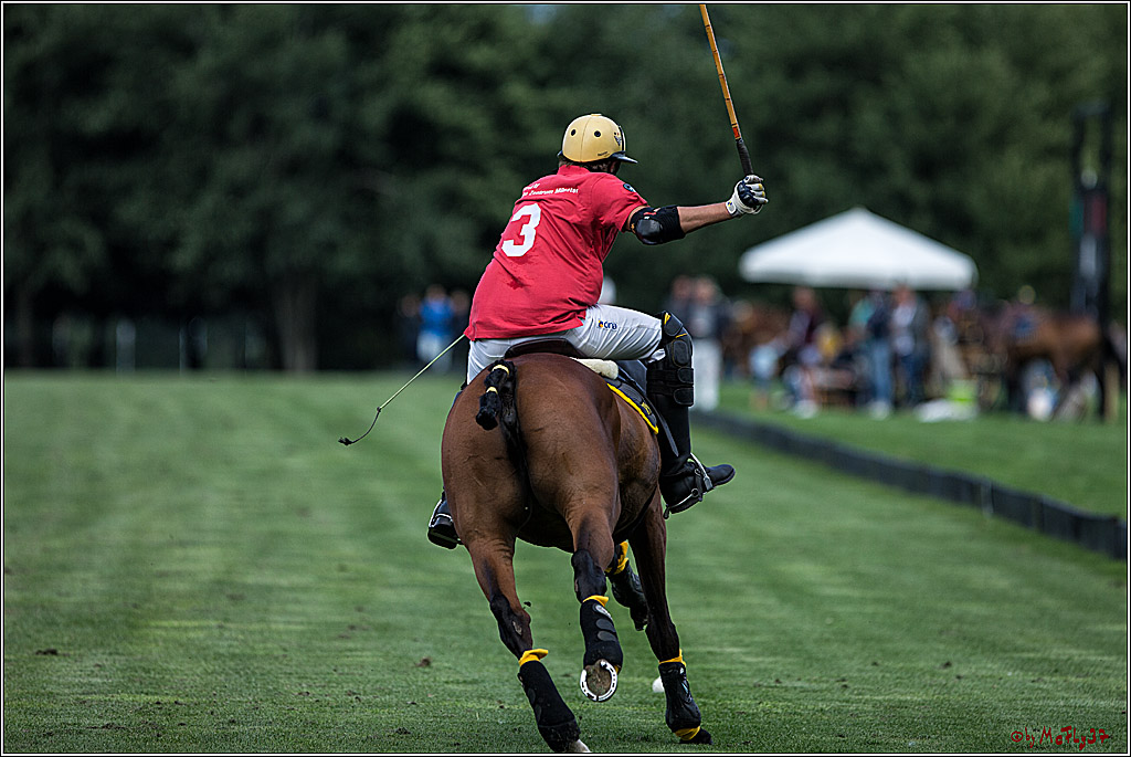 Polo Picknick Muenster 2017, 28.07.2017