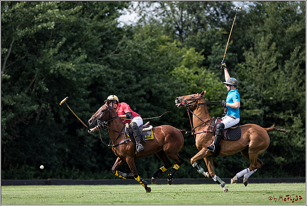 Polo Picknick Muenster 2017, 28.07.2017