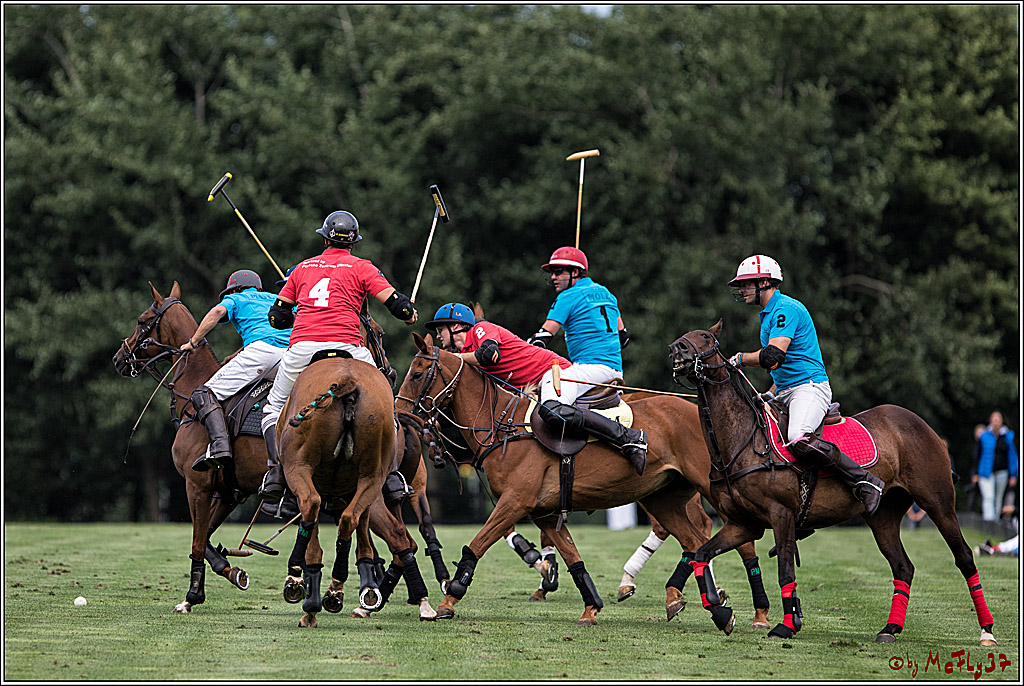 Polo Picknick Muenster 2017, 28.07.2017