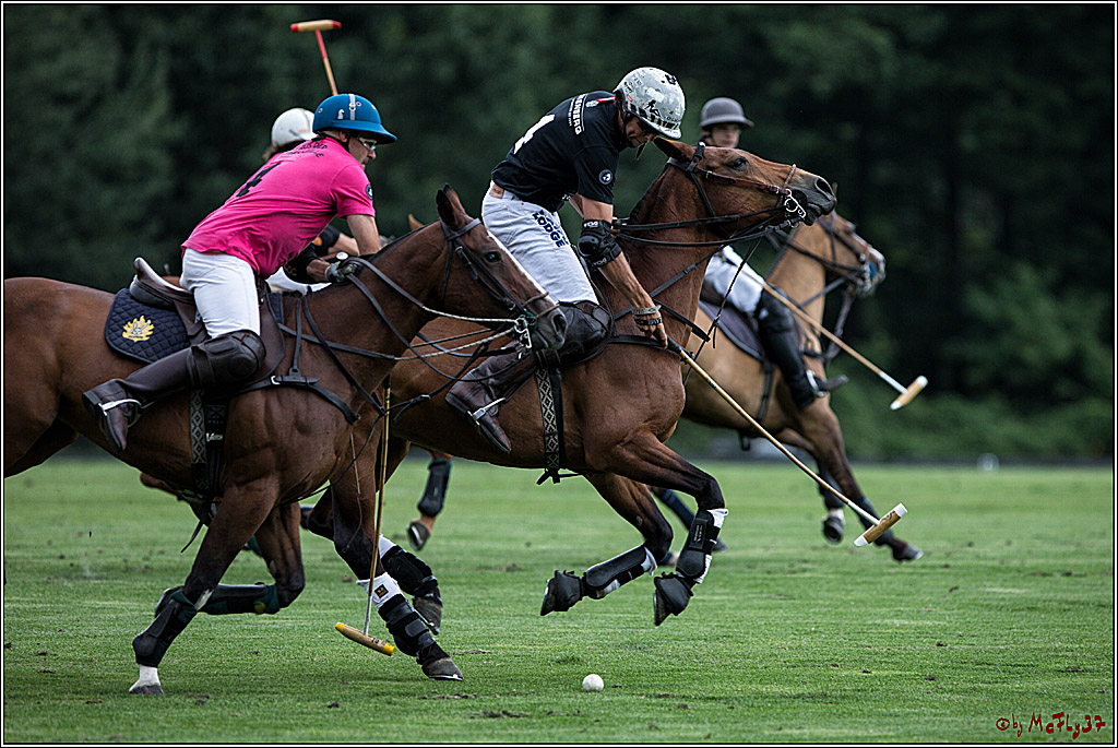 Polo Picknick Muenster 2017, 28.07.2017