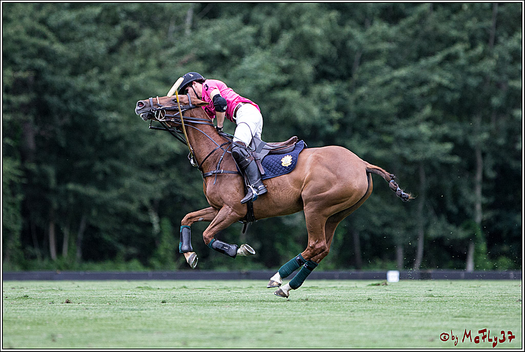 Polo Picknick Muenster 2017, 28.07.2017