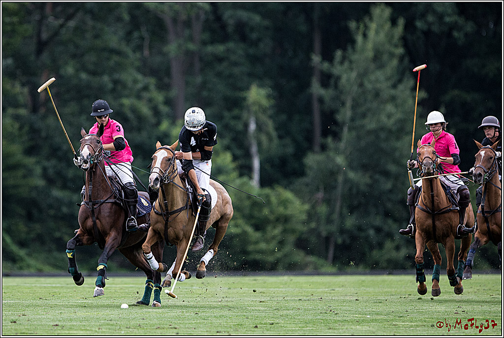 Polo Picknick Muenster 2017, 28.07.2017