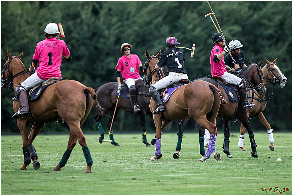 Polo Picknick Muenster 2017, 28.07.2017