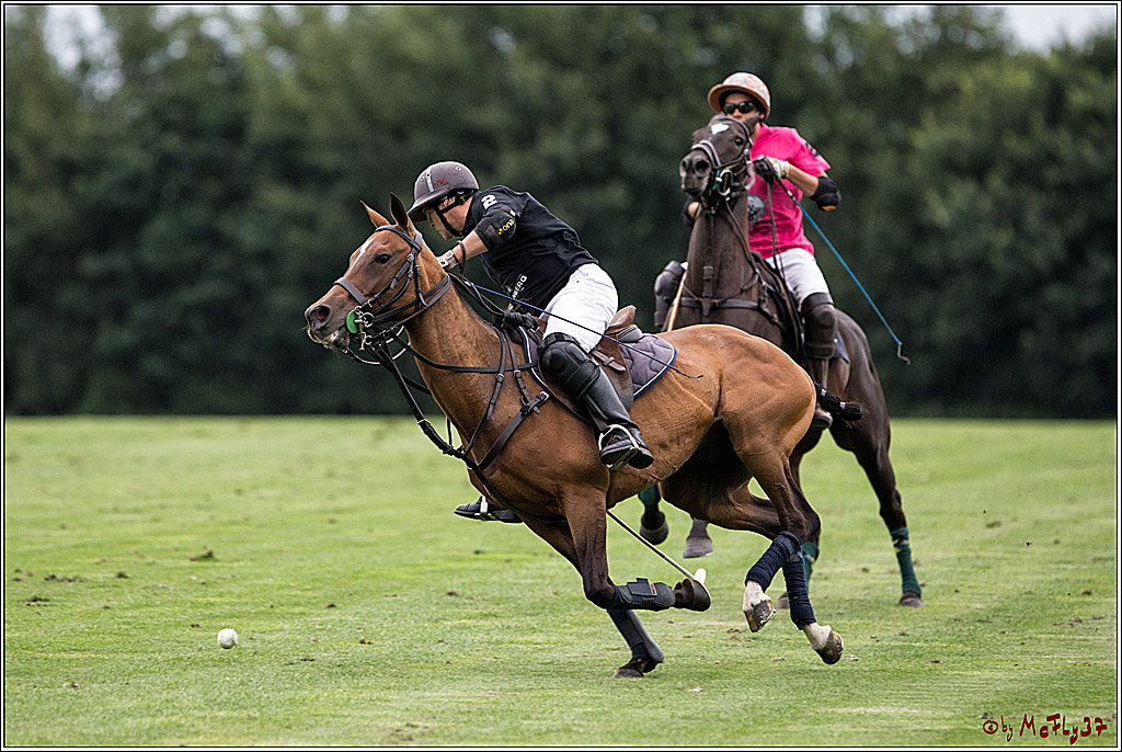 Polo Picknick Muenster 2017, 28.07.2017