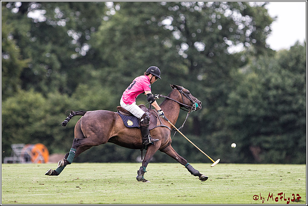Polo Picknick Muenster 2017, 28.07.2017